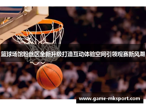 篮球场馆粉丝区全新升级打造互动体验空间引领观赛新风潮