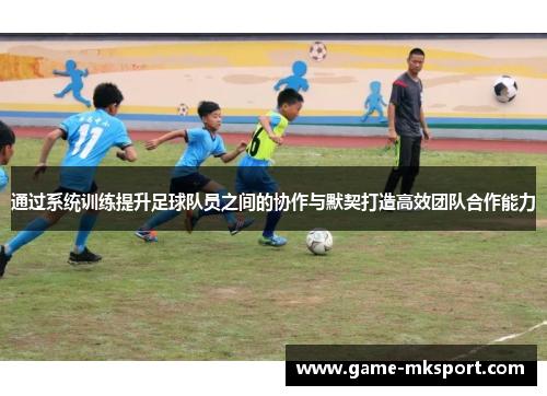 通过系统训练提升足球队员之间的协作与默契打造高效团队合作能力