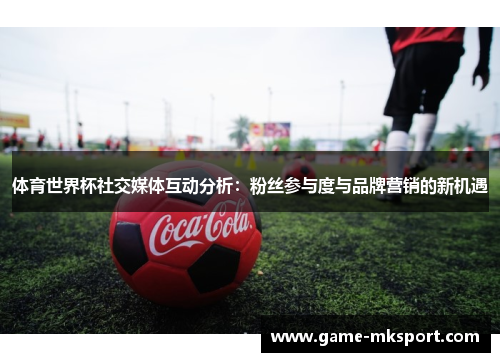体育世界杯社交媒体互动分析：粉丝参与度与品牌营销的新机遇