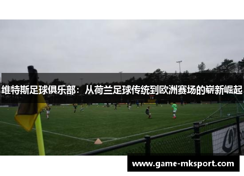 维特斯足球俱乐部：从荷兰足球传统到欧洲赛场的崭新崛起