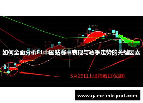 如何全面分析F1中国站赛事表现与赛季走势的关键因素