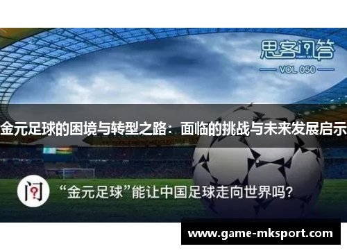 金元足球的困境与转型之路：面临的挑战与未来发展启示