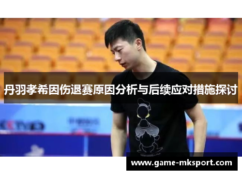 丹羽孝希因伤退赛原因分析与后续应对措施探讨
