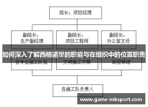 如何深入了解西格诺里的职能与在组织中的位置职责